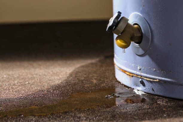 Best Emergency water extraction  in Berrien Springs, MI