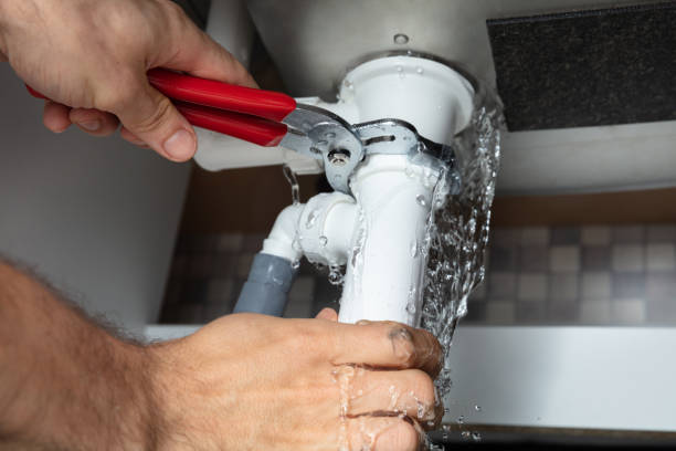Best Professional water damage repair  in Berrien Springs, MI