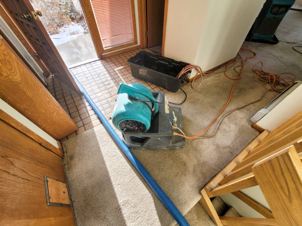 Best Flooded house restoration  in Berrien Springs, MI