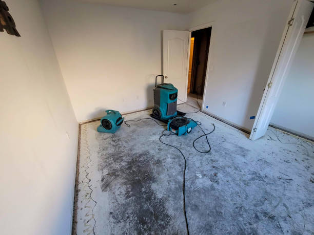 Best Water damage restoration near me  in Berrien Springs, MI