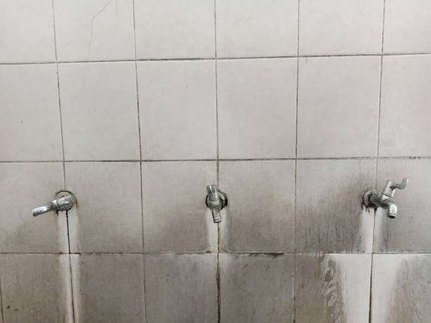 Best Flood restoration services  in Berrien Springs, MI