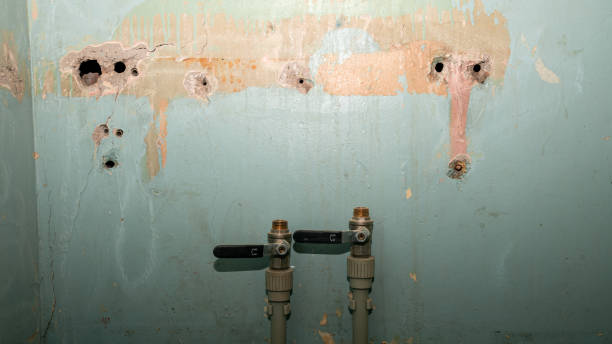 Best Water damage repair service  in Berrien Springs, MI