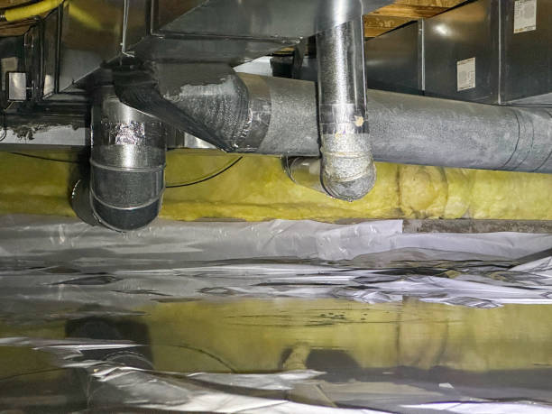 Professional Water damage restoration in MI