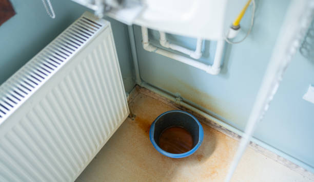 Best Commercial water damage restoration  in Berrien Springs, MI