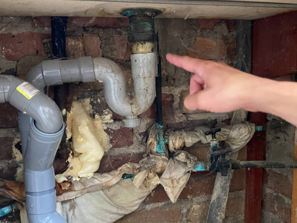 Best Residential water damage restoration  in Berrien Springs, MI