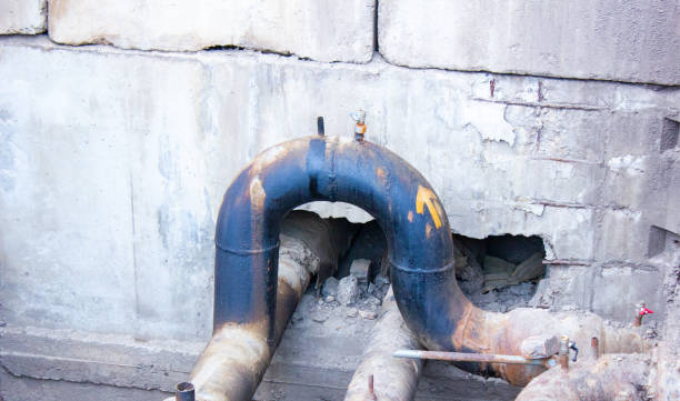 Best 24/7 water damage repair  in Berrien Springs, MI