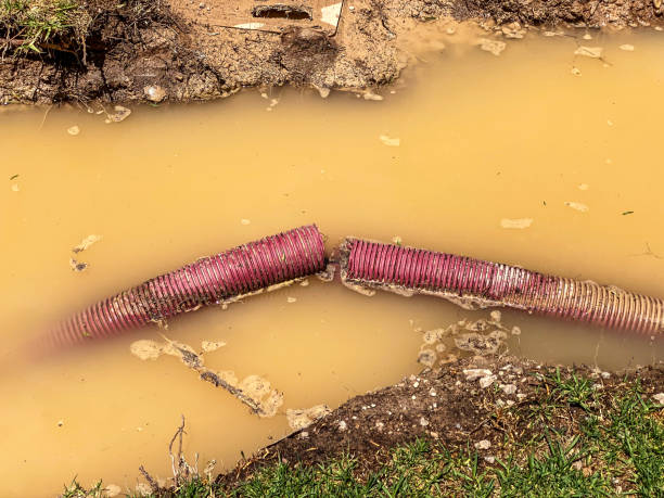 Water damage restoration insurance claims in MI