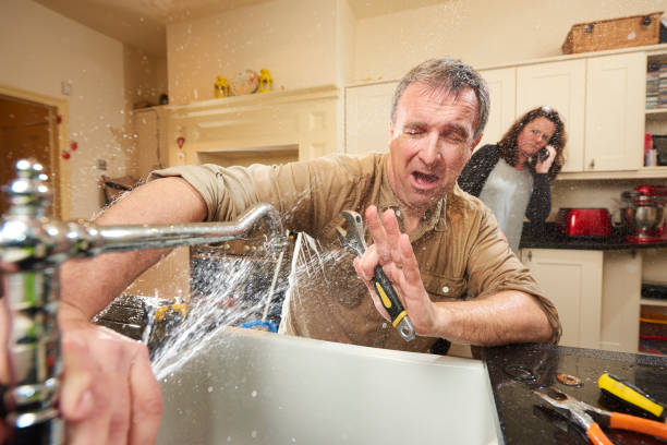 Best Carpet water damage restoration  in Berrien Springs, MI